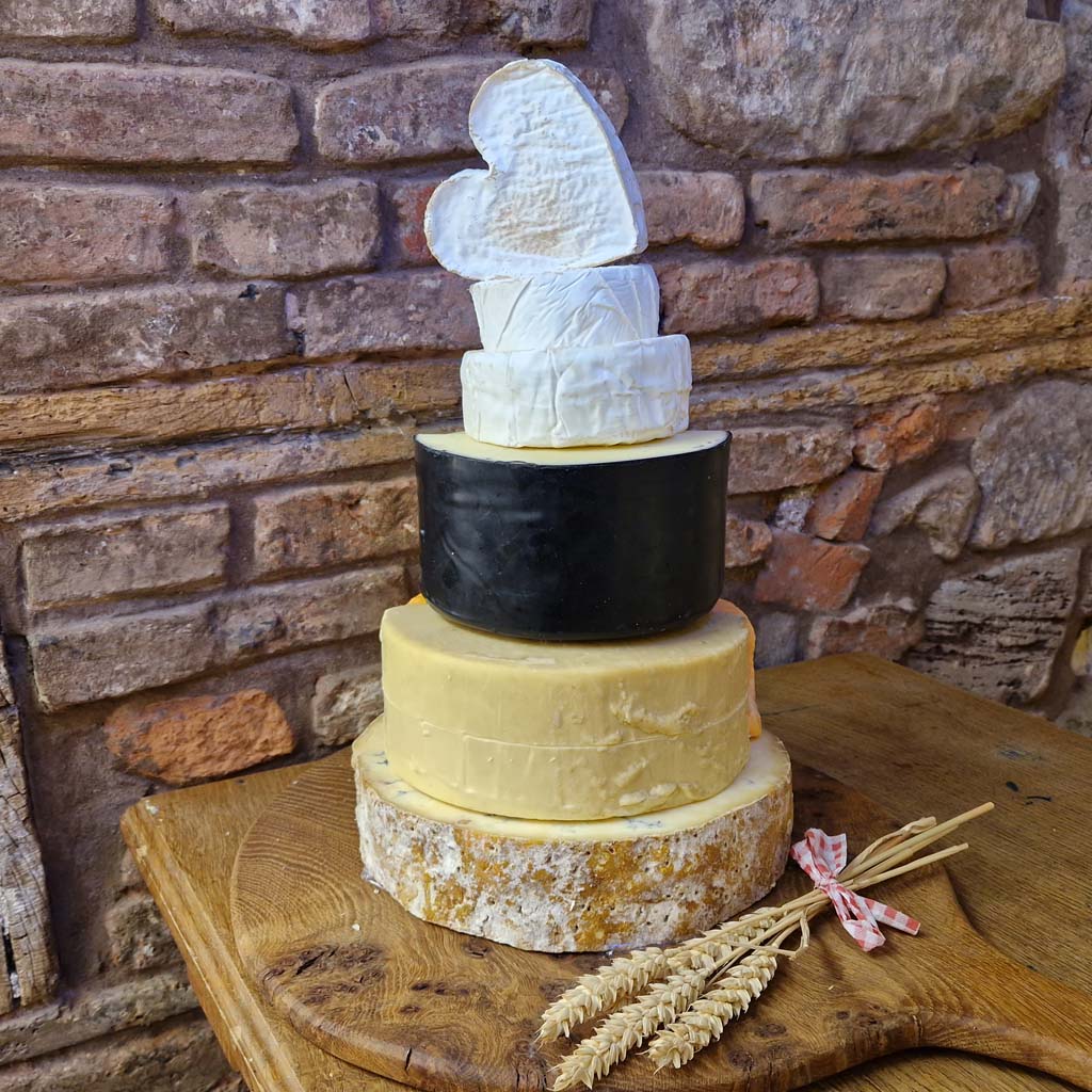 Louise Wedding Cheese Cake, 4.9kg cheese tower.