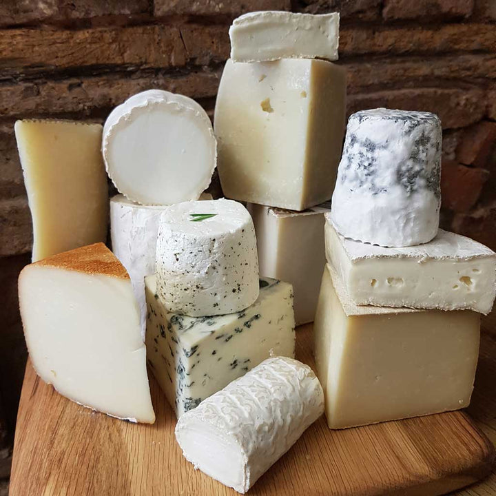 Mousetrap Cheese Company