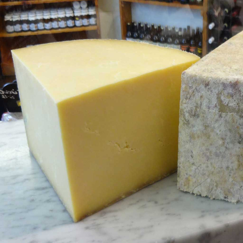 Hafod, Wonderful Welsh Organic Cheddar, buy from Mousetrap Cheese – The ...