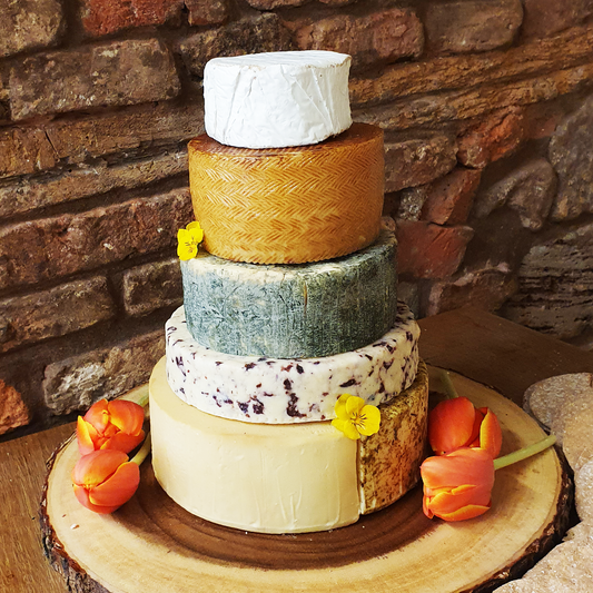 Rachel Wedding cheese cake, 5.1kg cheese stack