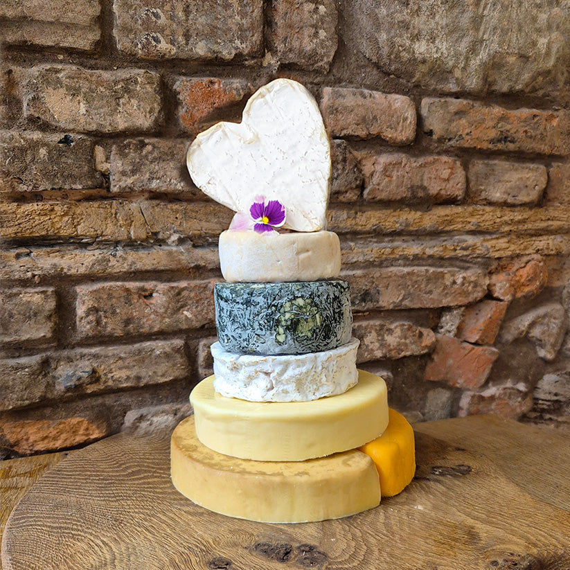 Ronnie with 500g cheddar, extra base ad brie heart. 5.2 kg of cheese