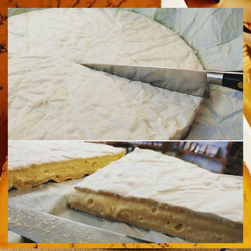 Somerset Brie Cheese, mild english brie
